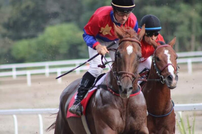 Jasmine vence o GP de Éguas 2019