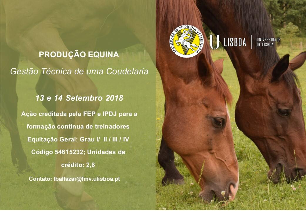 Formação FMV