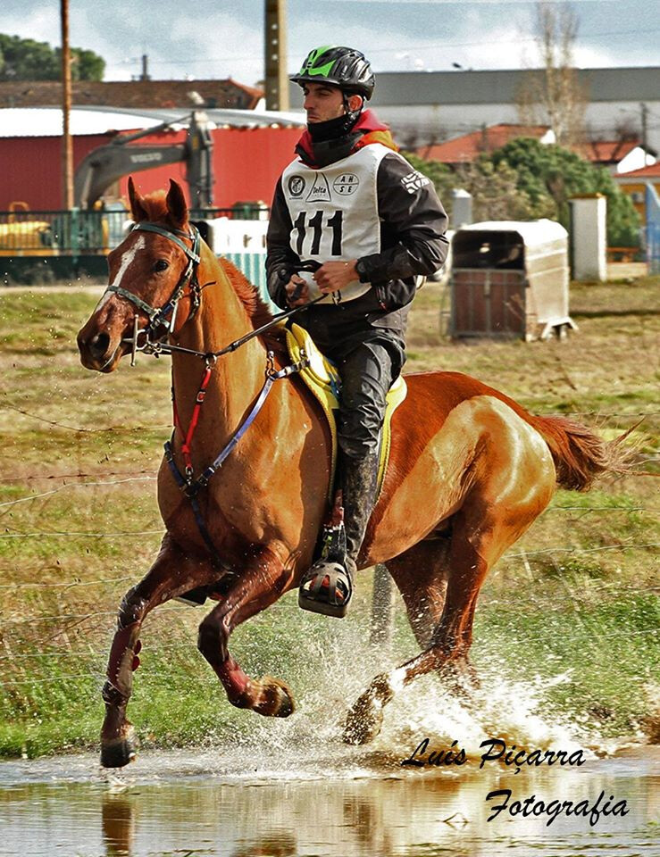 Rui Lanternas