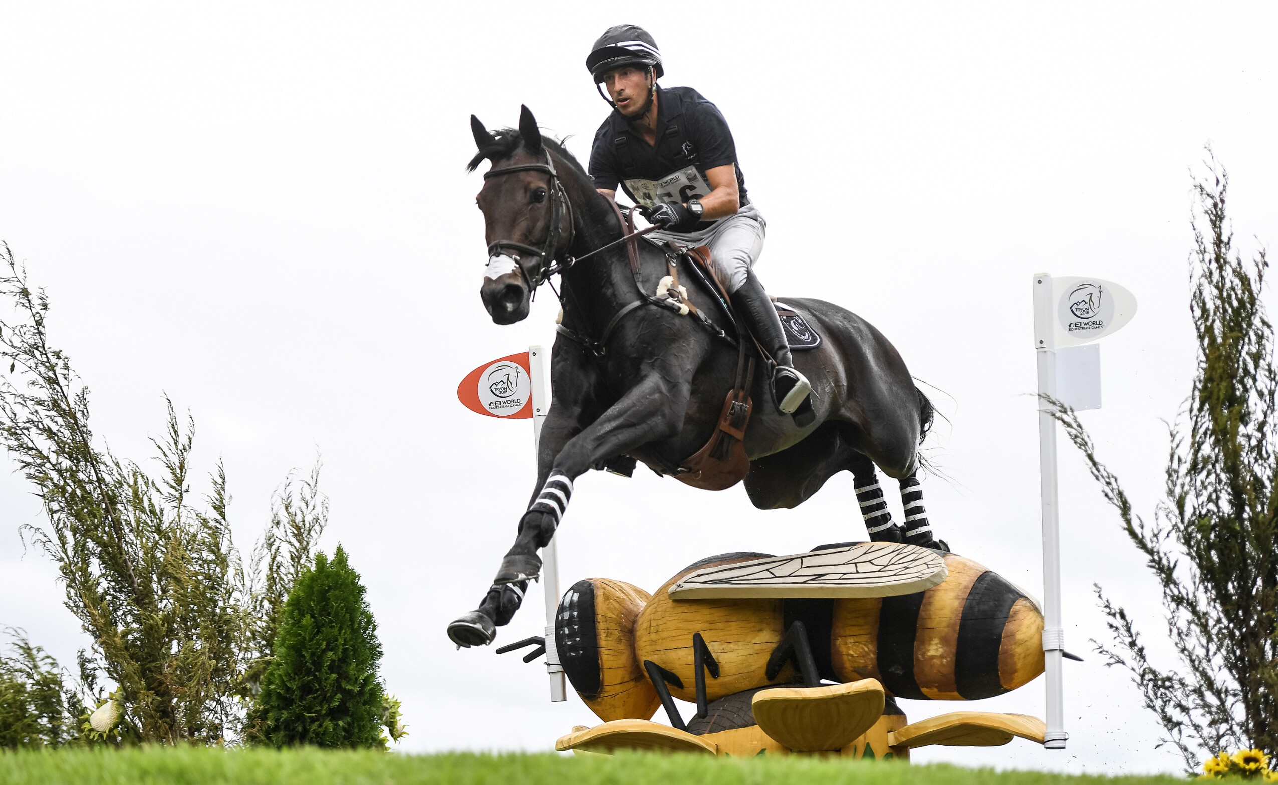 Tim Price WEG 2018