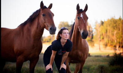 Tem crédito junto do seu cavalo?