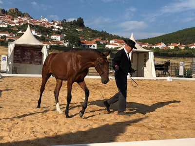 5.ª Edição da Mostra PSL de Penha Garcia