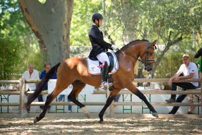 Loki de La Gesse vitorioso em Beaucaire