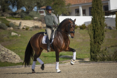 «Têm imenso potencial»