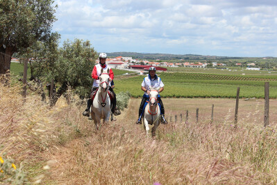 Taça de Portugal surpreendeu a disciplina de Endurance