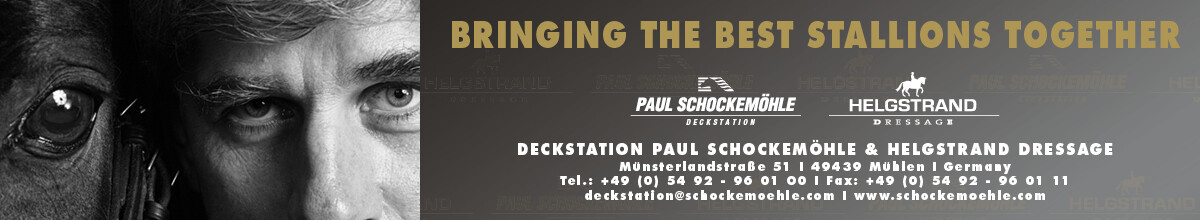 Banner Schockemoehle