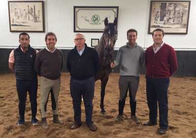 Concentração para admissão ao Livro Anexo do Cavalo Luso-Árabe