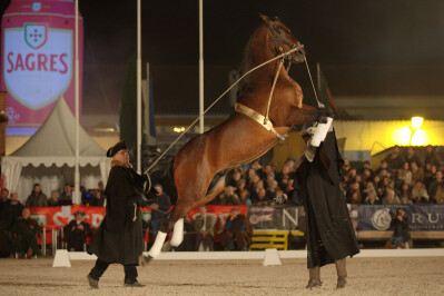 Espectáculo equestre online homenageia Andrea Bocelli