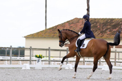 Terceiro Open do Cardiga Equestrian Circuit cancelado