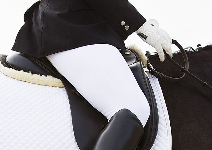 dressage_detail