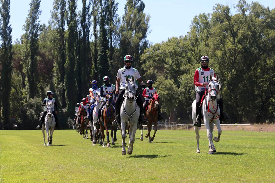 Sheikh Mohammed Bin Rashid Al Maktoum Italy Endurance Festival