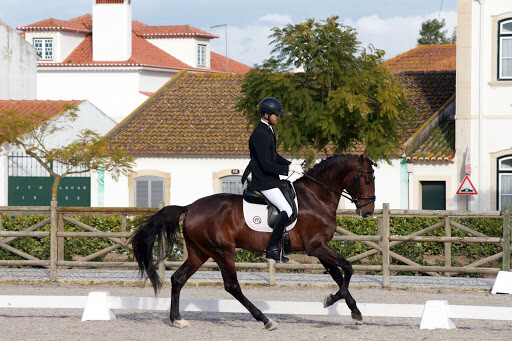 Projeto cavalos jovens ensino apsl