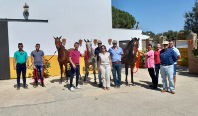 ACRLA NA EXPANSÃO DO CAVALO LUSO-ÁRABE
