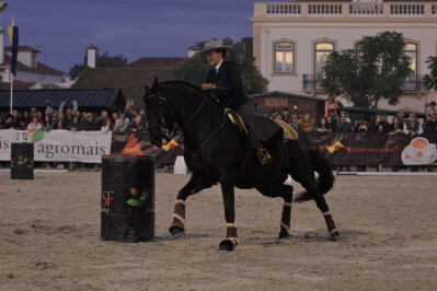 Taça de Portugal na Golegã