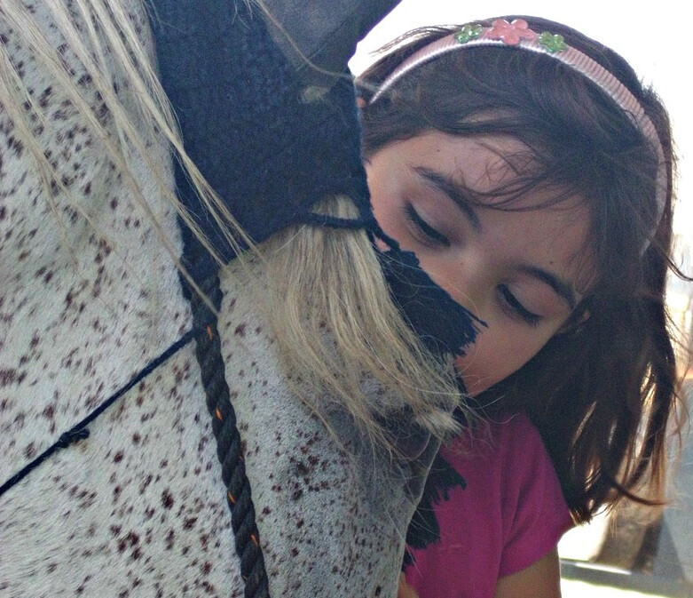 cavalo