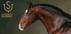 Banner Sociedade das Silveiras