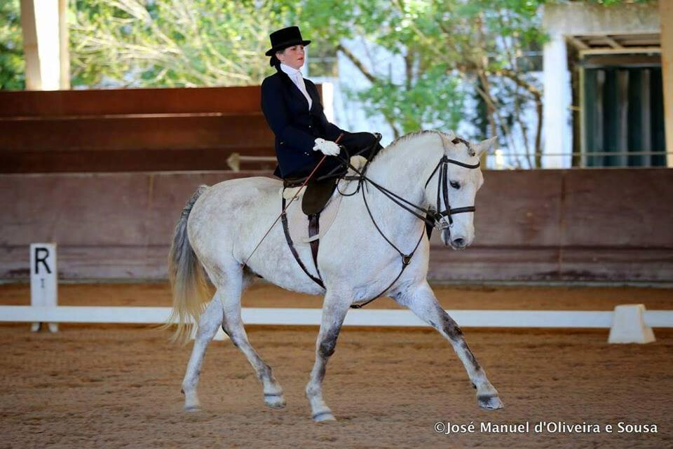 amazona Sofia Graciosa - FOTO Jose Manuel d'Oliveira e Sousa