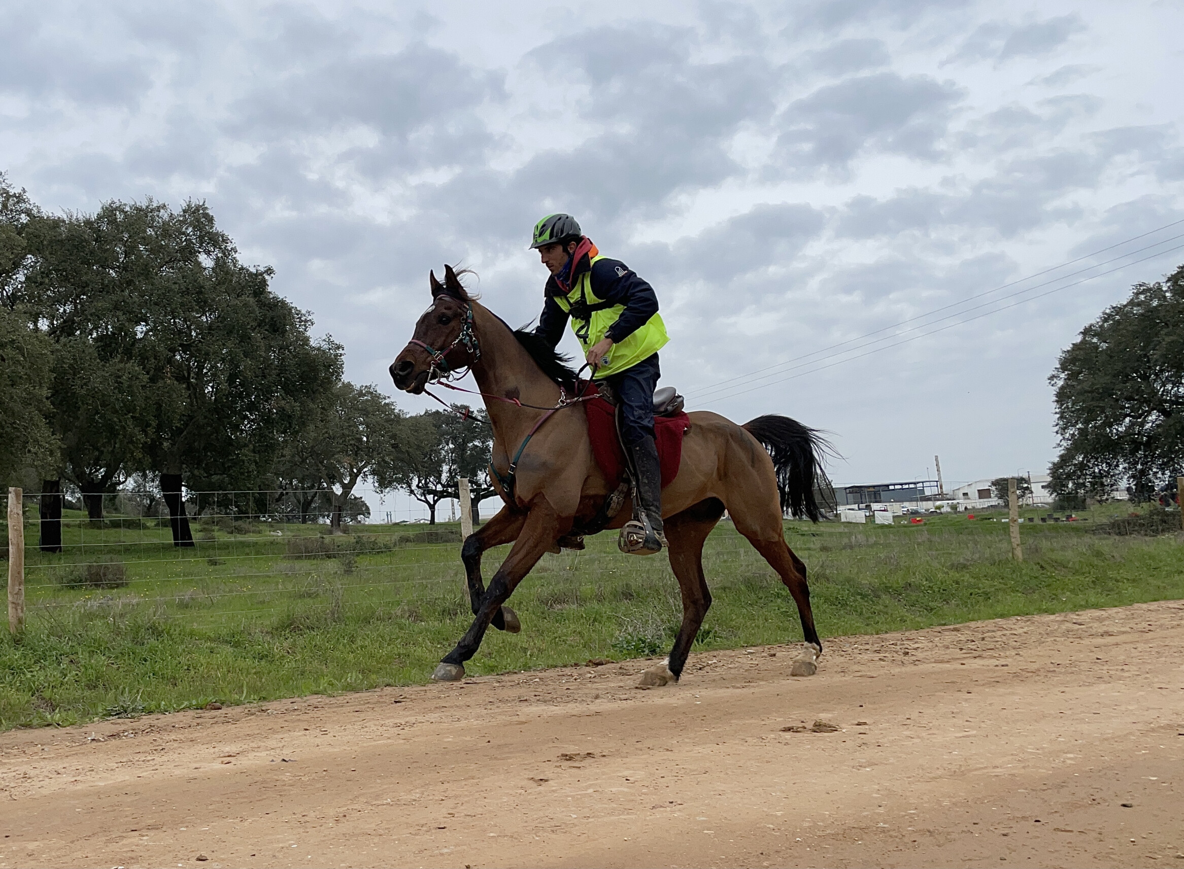 Rui Lanternas e AL Ral