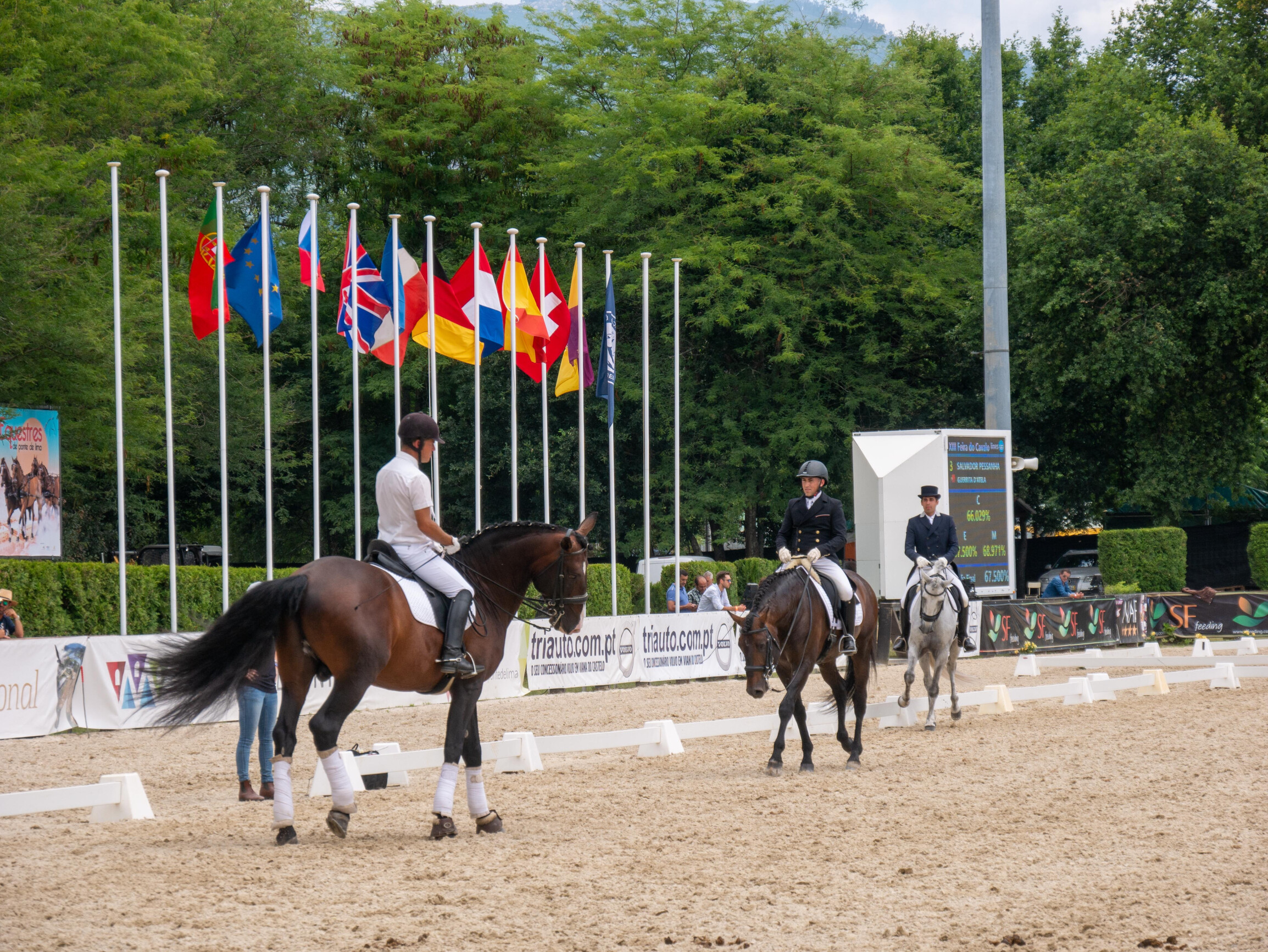 dressage ponte de lima 2019