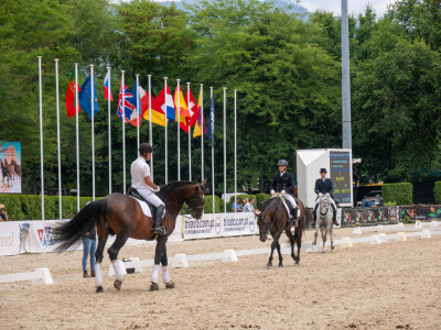 Feira do Cavalo palco da Taça de Portugal