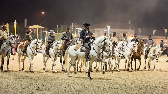 feira nacional do cavalo