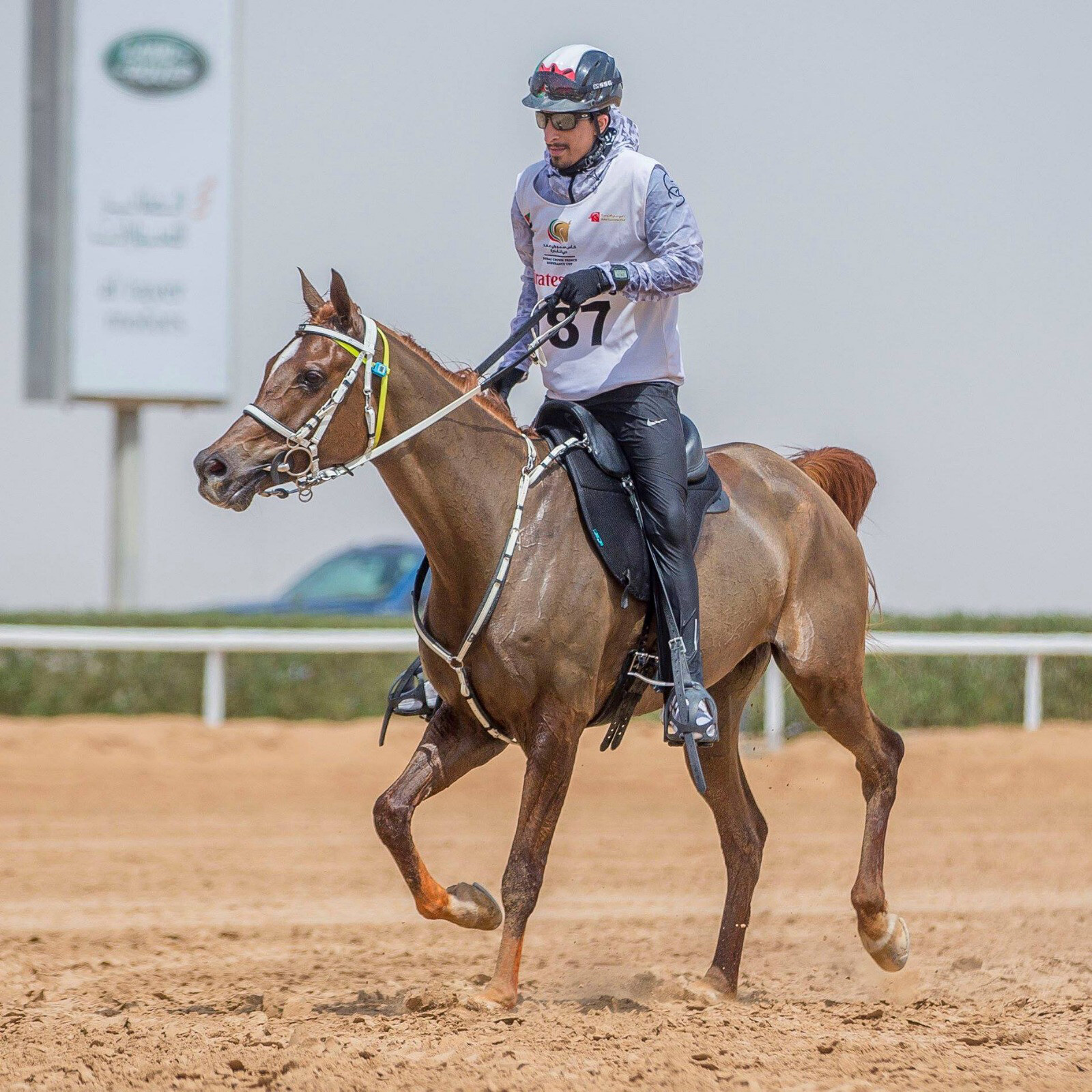 Mohammed Al Marri montou Fagor 02