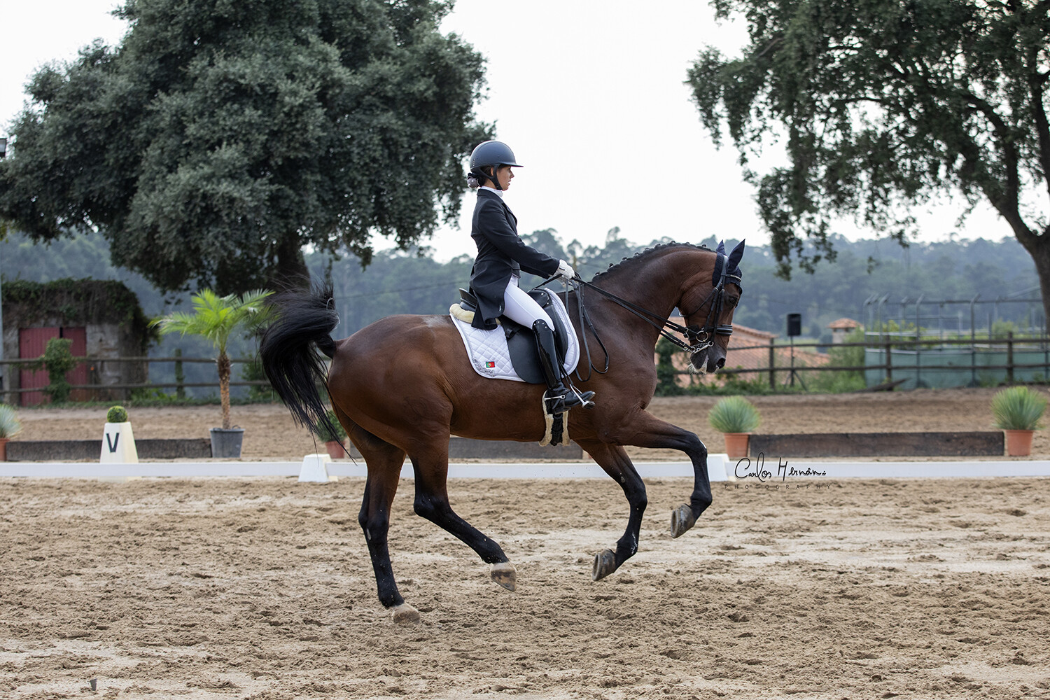 Alexandra_Zorro (C) Carlos Hernani