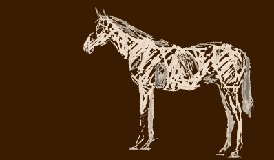 Workshop de Condição Corporal em Equinos