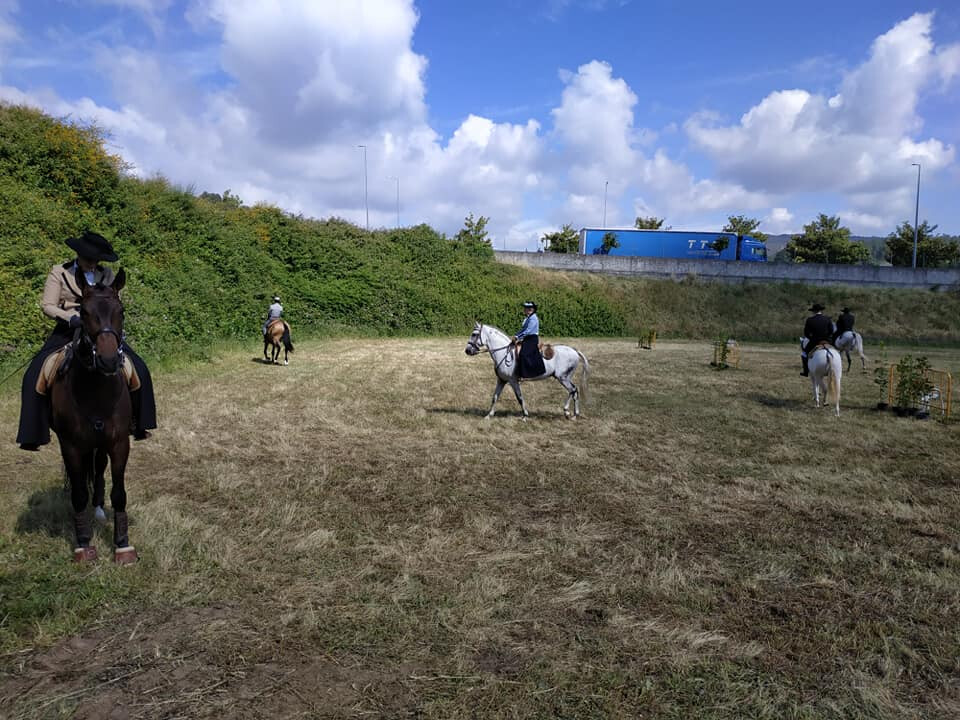 IV jornada CRNET