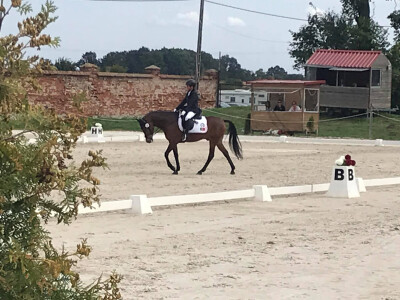 Francisco Moura Braz no Europeu de Póneis