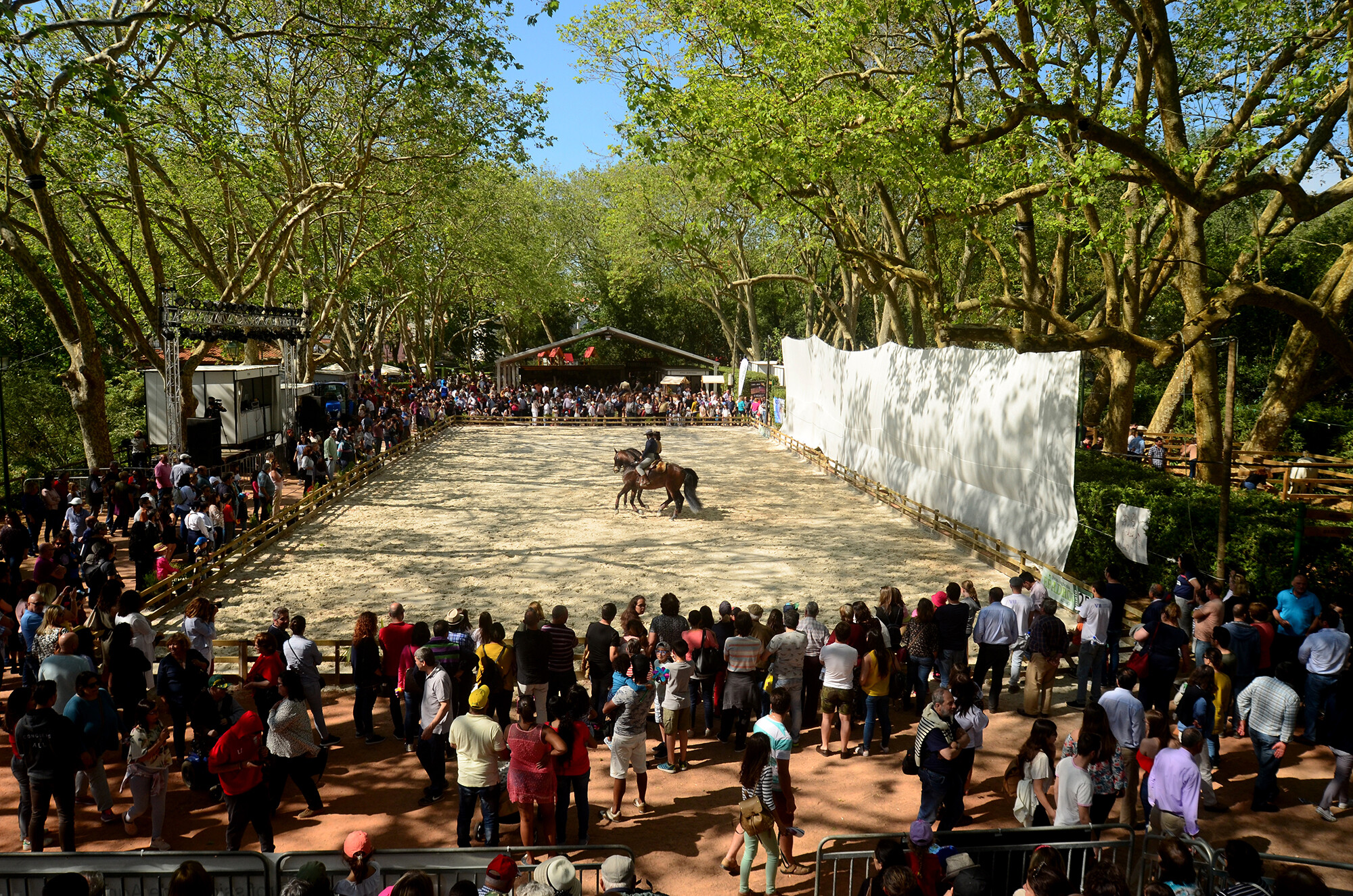 Oeste Lusitano 2018