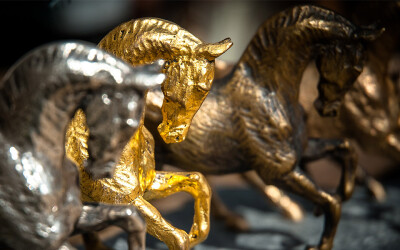 Mundial de Cavalos Novos cancelado