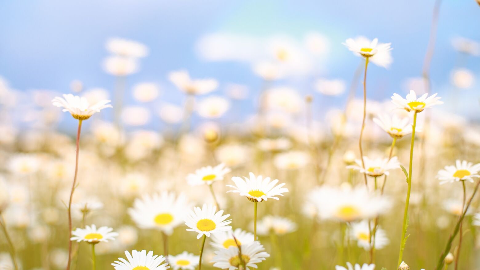 Tâmega e Sousa: Melhoria do tempo e menos chuva a partir da tarde de sábado