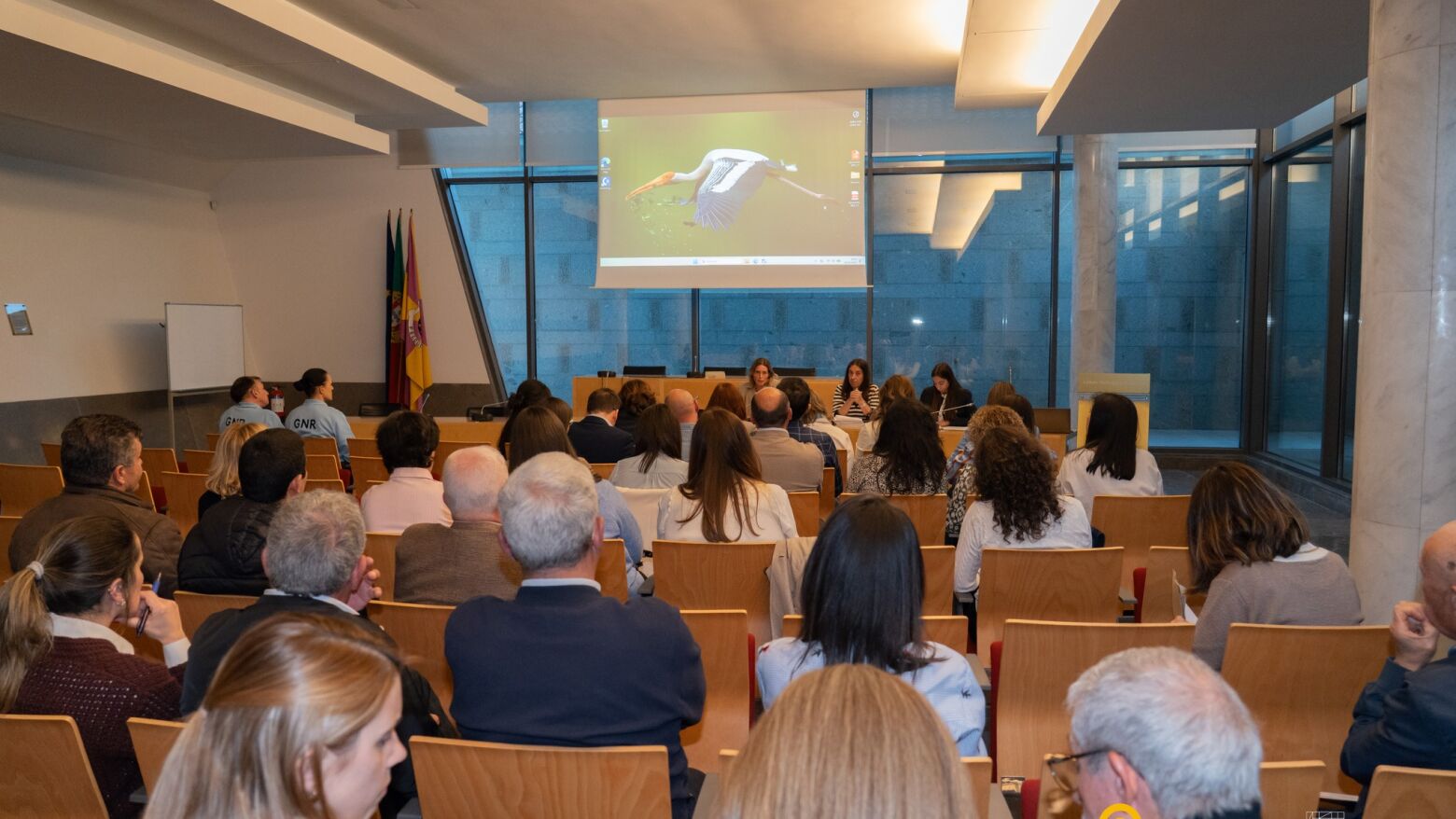 Conselho Local de A&ccedil;&atilde;o Social de Felgueiras elege N&uacute;cleo Executivo e aprova plano para 2026