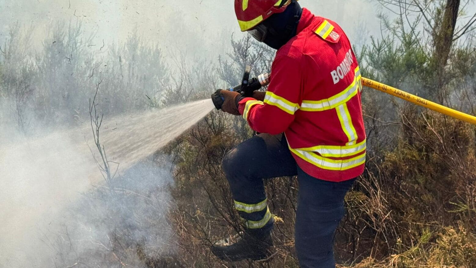 Notários Portugueses lançam campanha solidária de apoio aos Bombeiros