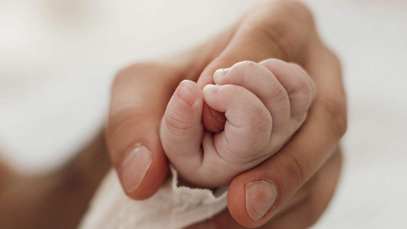Nascimentos aumentam em Portugal com um ter&ccedil;o dos beb&eacute;s filhos de m&atilde;es estrangeiras