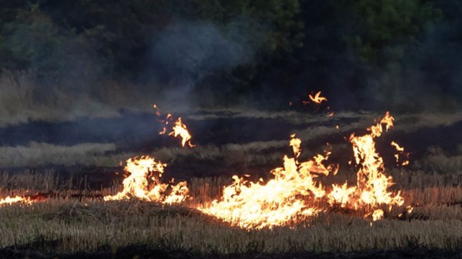 Cerca de 90 concelhos do interior Norte e Centro em risco máximo de incêndio