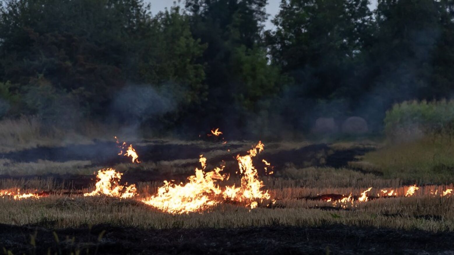 Suspeito reincidente detido por novo incêndio em Águeda