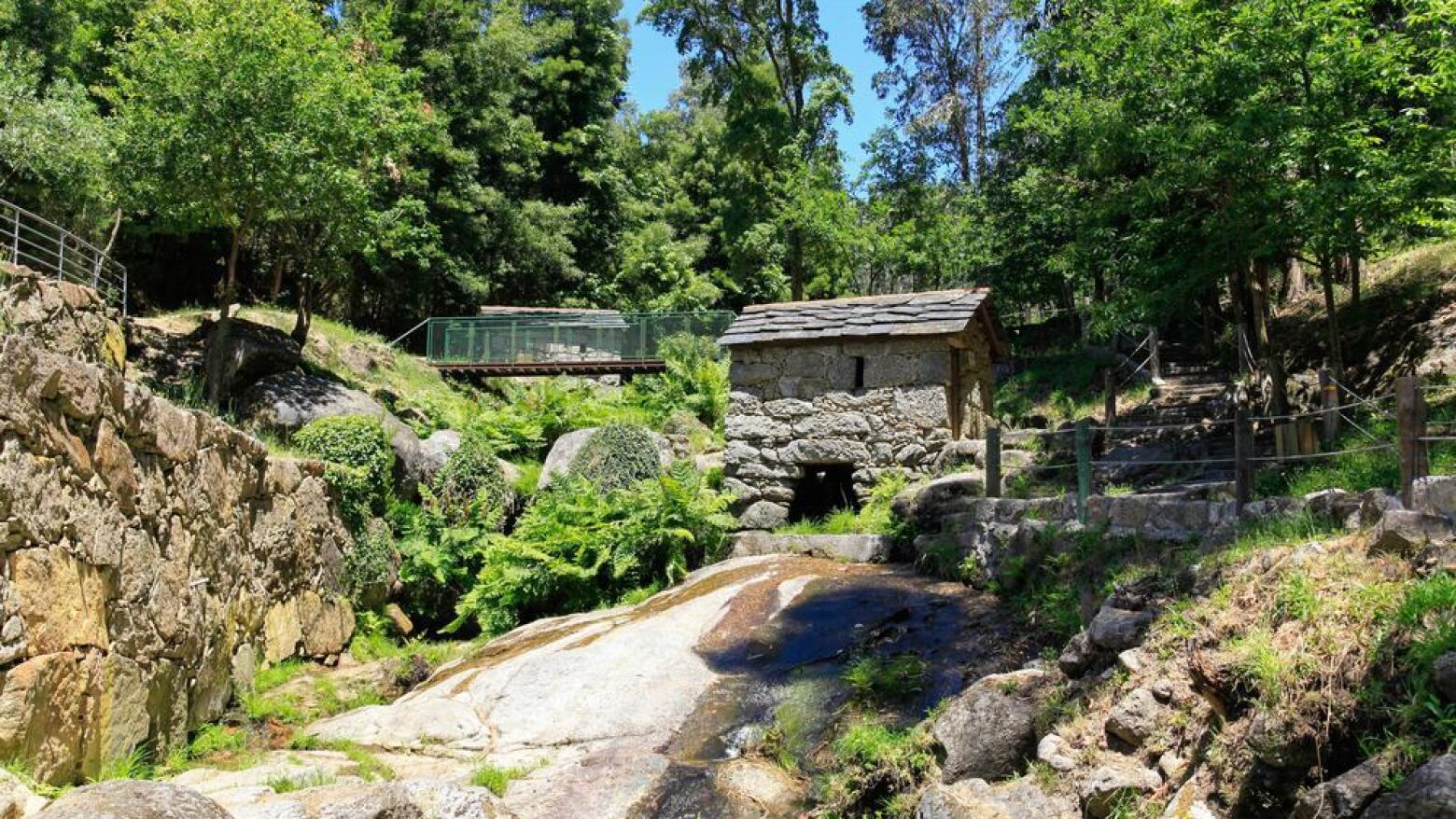 Penafiel: Associação "Cabroelo + Aldeia" organiza passeio pelos moinhos