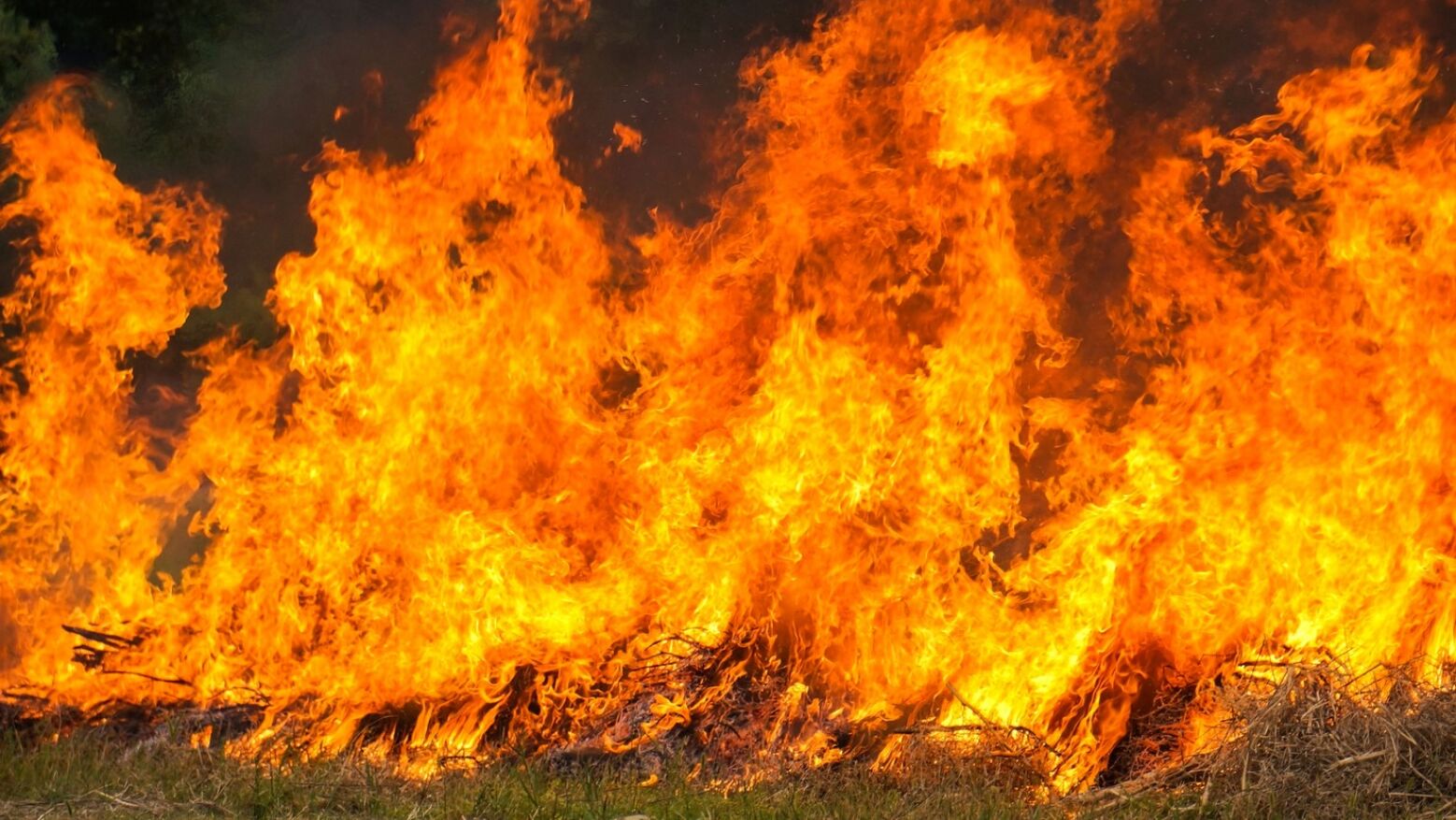 Ministra considera irrelevante número de meios aéreos no combate aos fogos e Proteção Civil defende complementaridade