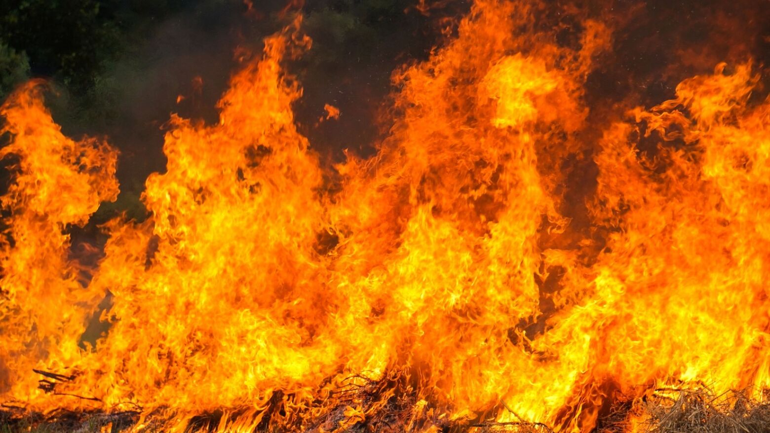 Incêndio em Arouca obriga ao confinamento da aldeia de Vila Viçosa