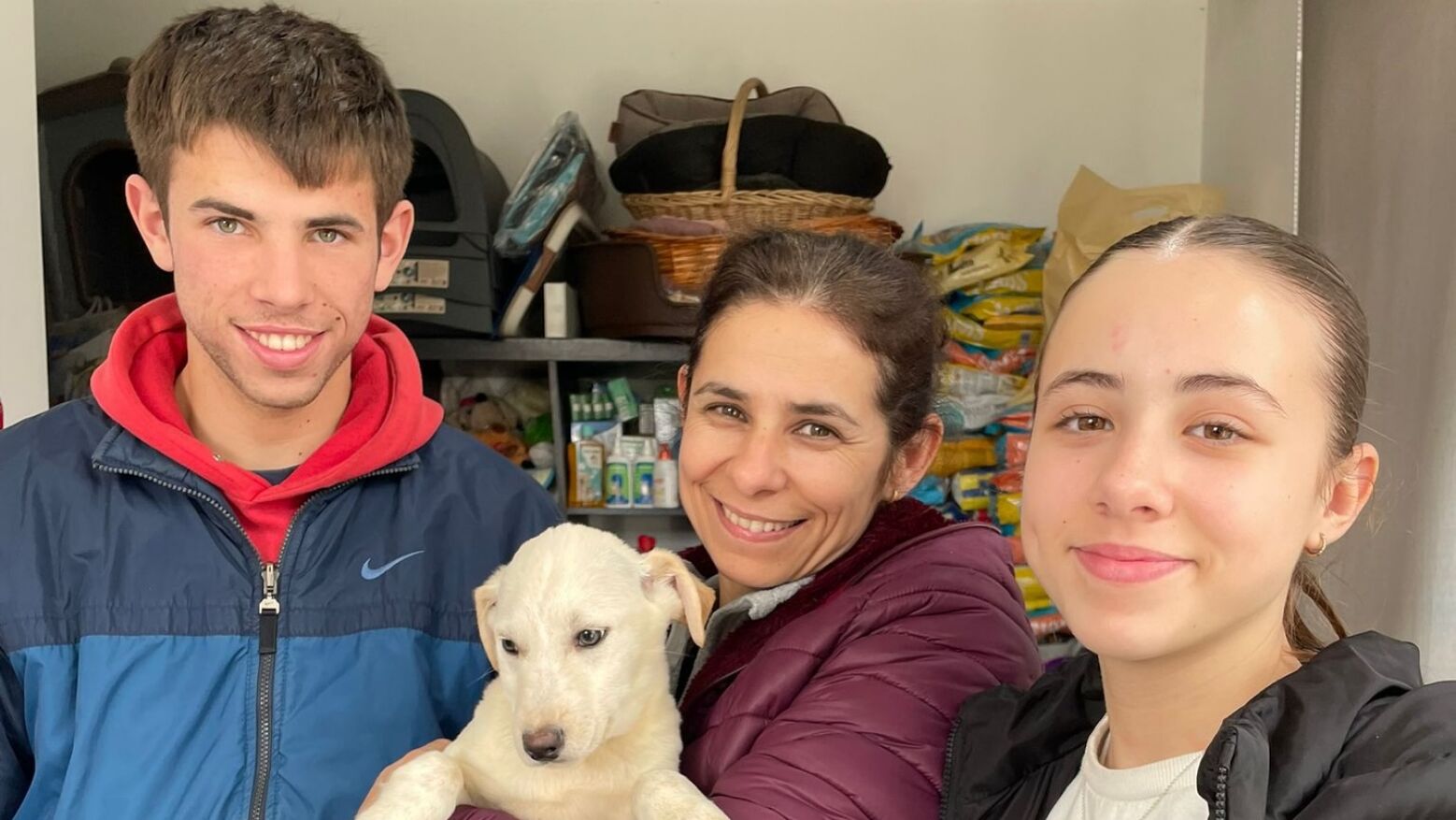 Marco de Canaveses: Animarco regista seis ado&ccedil;&otilde;es em janeiro e apela a fam&iacute;lias "conscientes"