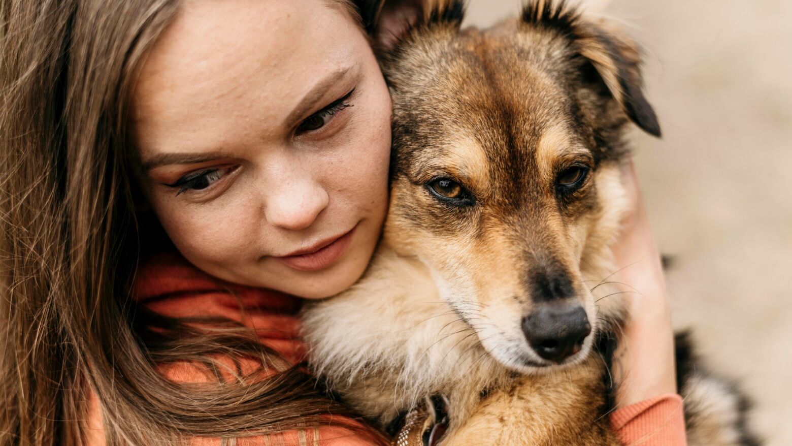 GNR alerta para crimes de abandono e maus tratos de animais de companhia no Dia Internacional do Animal Abandonado