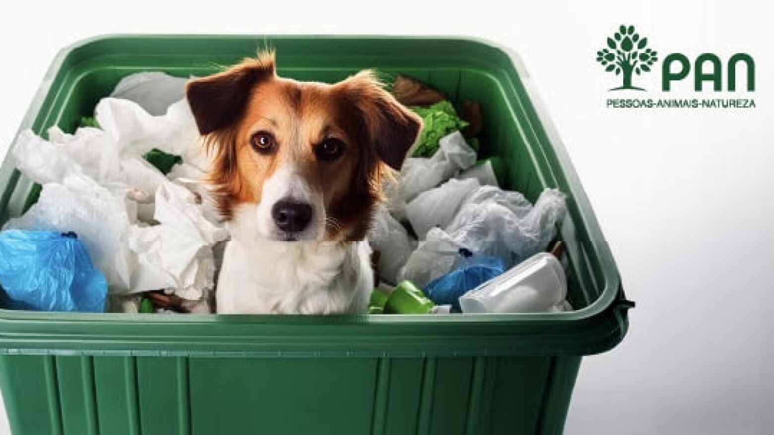 Eleições Legislativas 2025: PAN visita Matosinhos, Gondomar e Porto com foco em animais e famílias