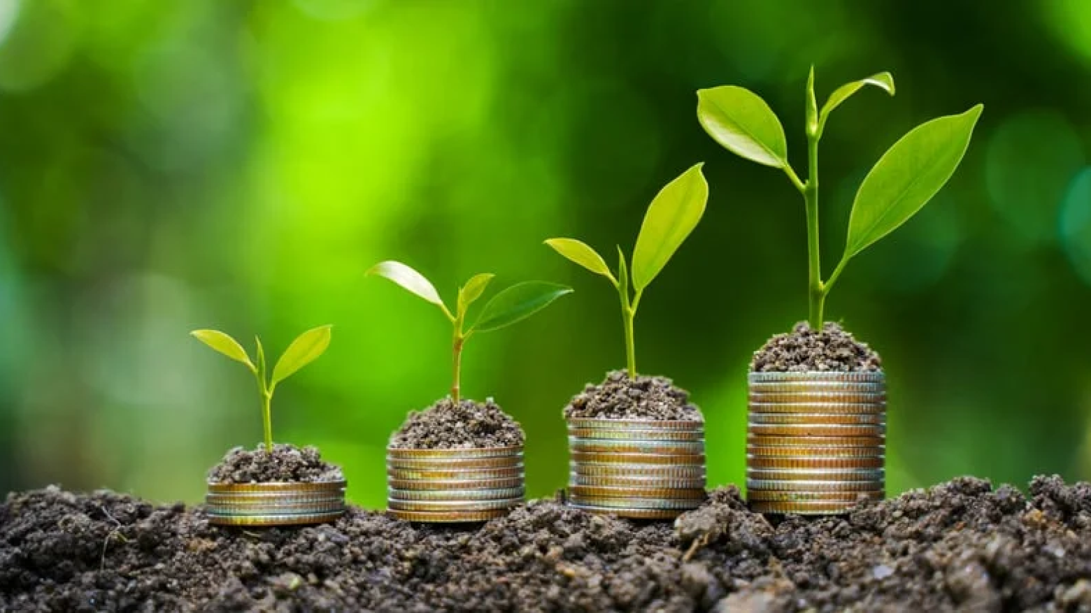 Lousada financia projetos ambientais de jovens com fundo global da Bloomberg