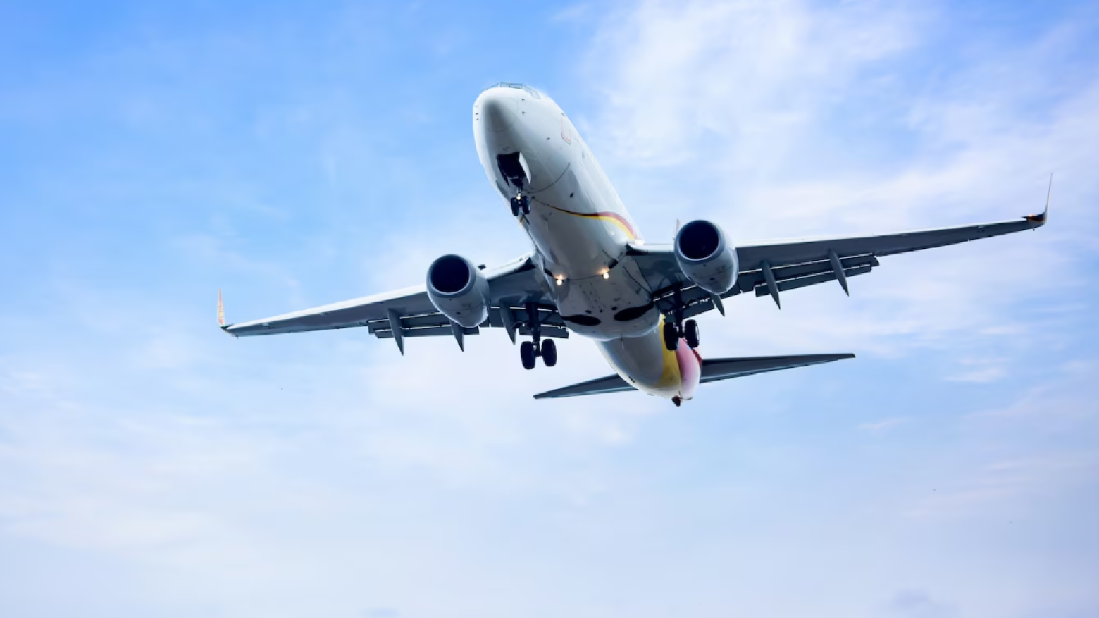 Sete portugueses a bordo de avião da Air India que se despenhou na Índia