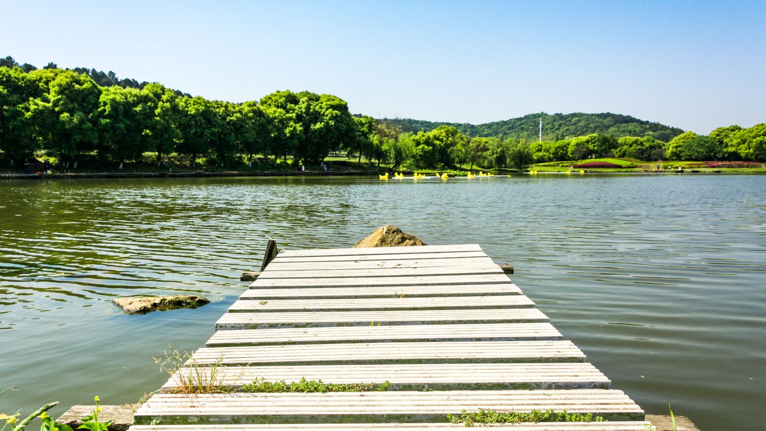 Estuário do Douro continua sem praias fluviais classificadas e movimentos exigem análises urgentes