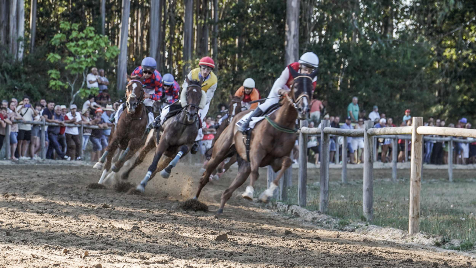 Celorico de Basto recebe a 30.ª Corrida de Cavalos a contar para o Campeonato Nacional