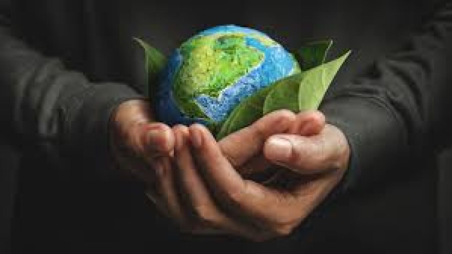 Candidaturas para projeto NOPLANETB decorrem até 1 de junho
