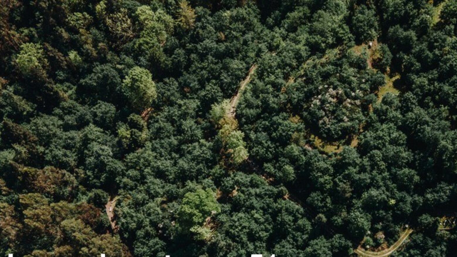 Lousada &eacute; o &uacute;nico concelho do T&acirc;mega e Sousa a cumprir metas do Mapa de A&ccedil;&atilde;o Clim&aacute;tica